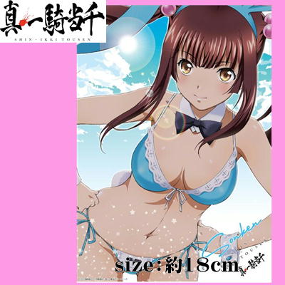 【孫権(Blue)】真・一騎当千　A3クリアポスター