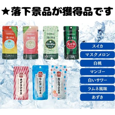 ■ Fruit & Frozen Do Ice Assortment [Best before: 2026/05/31]
