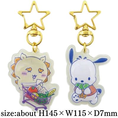 [Shisa x Pochacco] Chiikawa x Sanrio Characters Puffy Pair Keychains