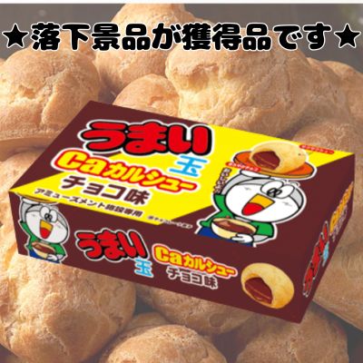 ■ Delicious Chocolate Cream Puffs - Affordable Box [Best Before Date: 2026/07/16]