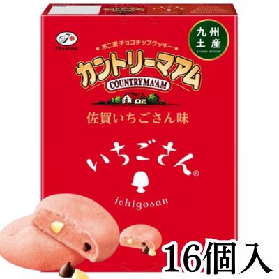 Country Ma'am Cookies - Saga Strawberry Flavor - 16 pieces [Best Before: 2026/07]