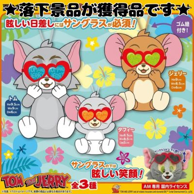 ■ Tom and Jerry: Sunglasses at the Beach Mascot