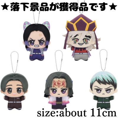 ■Demon Slayer: Kimetsu no Yaiba Chibigurumi Vol.9